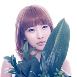 Jisook