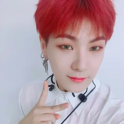 Hanse