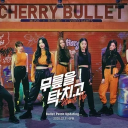 Cherry Bullet