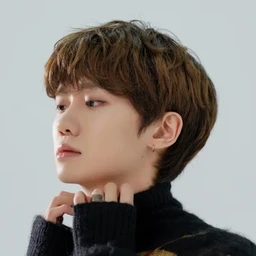 Ha Hyunsang