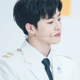 Feeldog