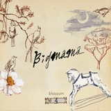 Blossom