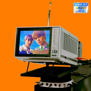 척