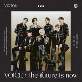 Voice: The Future is Now