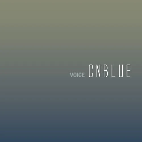 VOICE