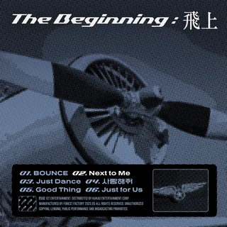 The Beginning : 飛上