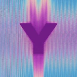 Y