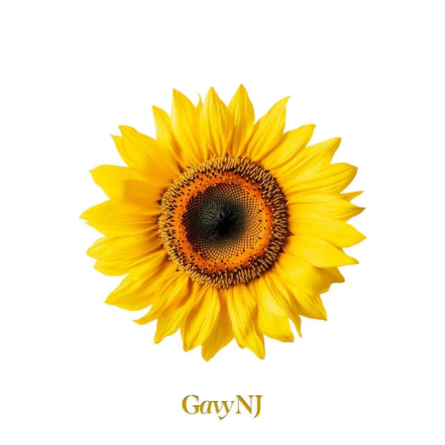 The Gavy NJ : II