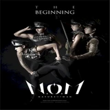 The Beginning N.O.M