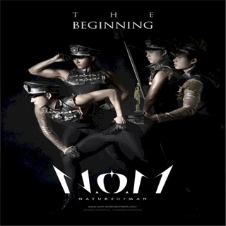 The Beginning N.O.M