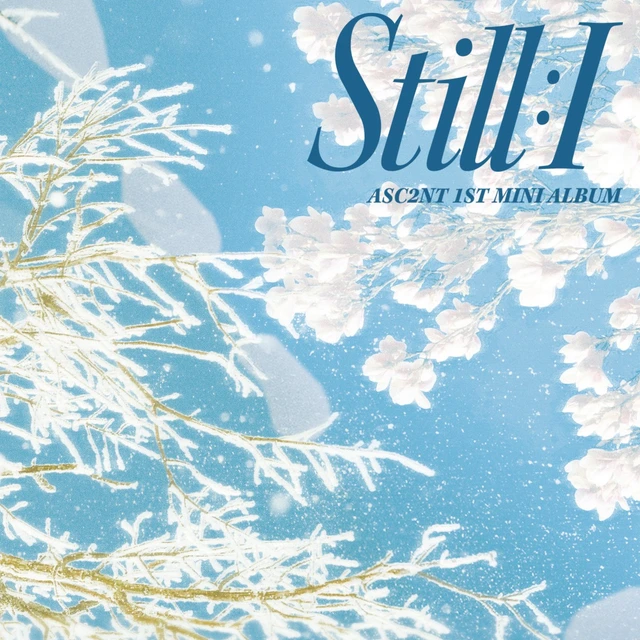 STILL : I