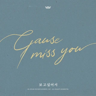 Cause I Miss You