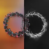 DUAL