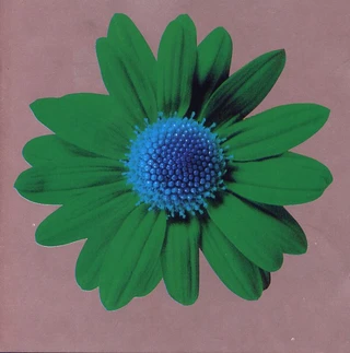 꽃