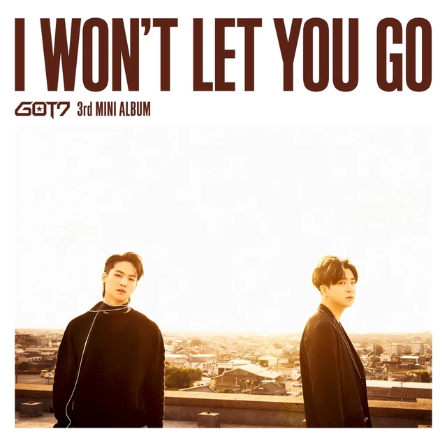 I WON'T LET YOU GO
