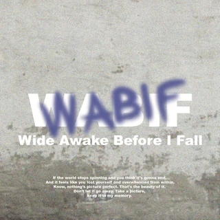 WABIF (Wide Awake before I Fall)