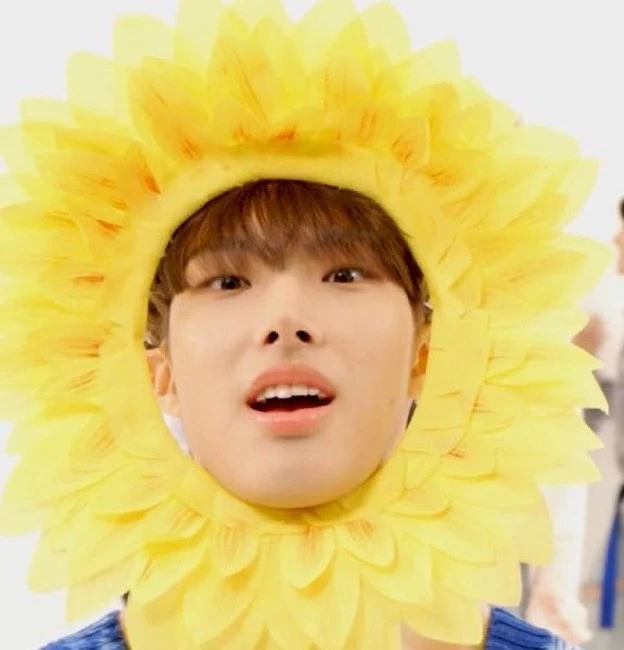 Mingi
