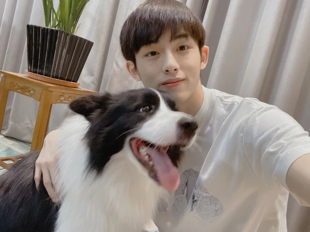 WinWin