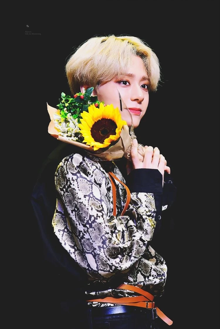 Hwanwoong