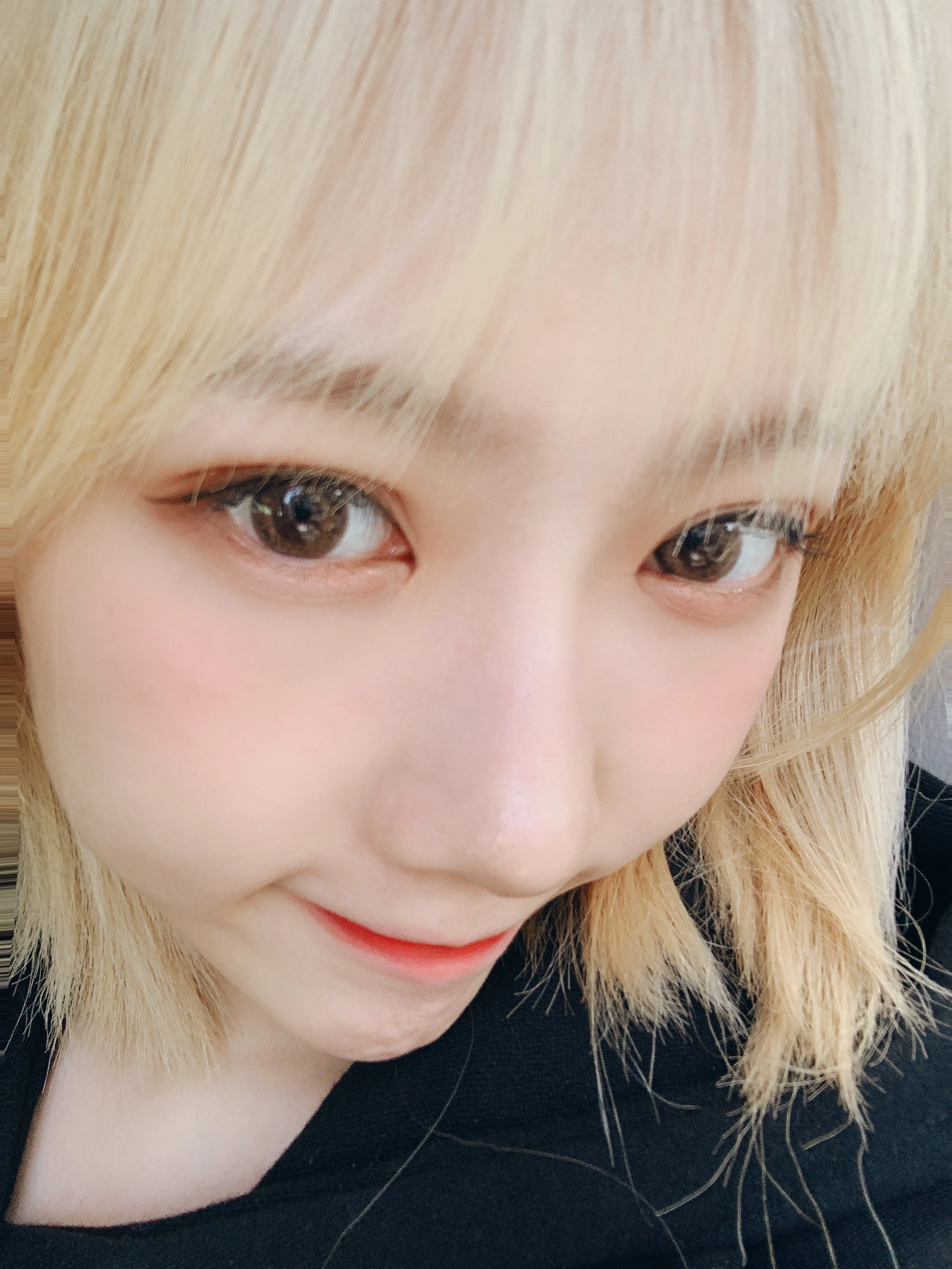 Handong