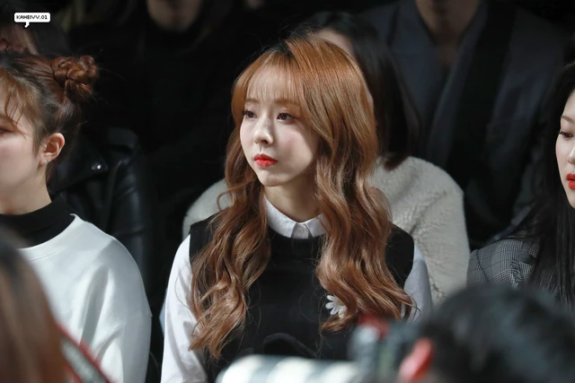 Vivi