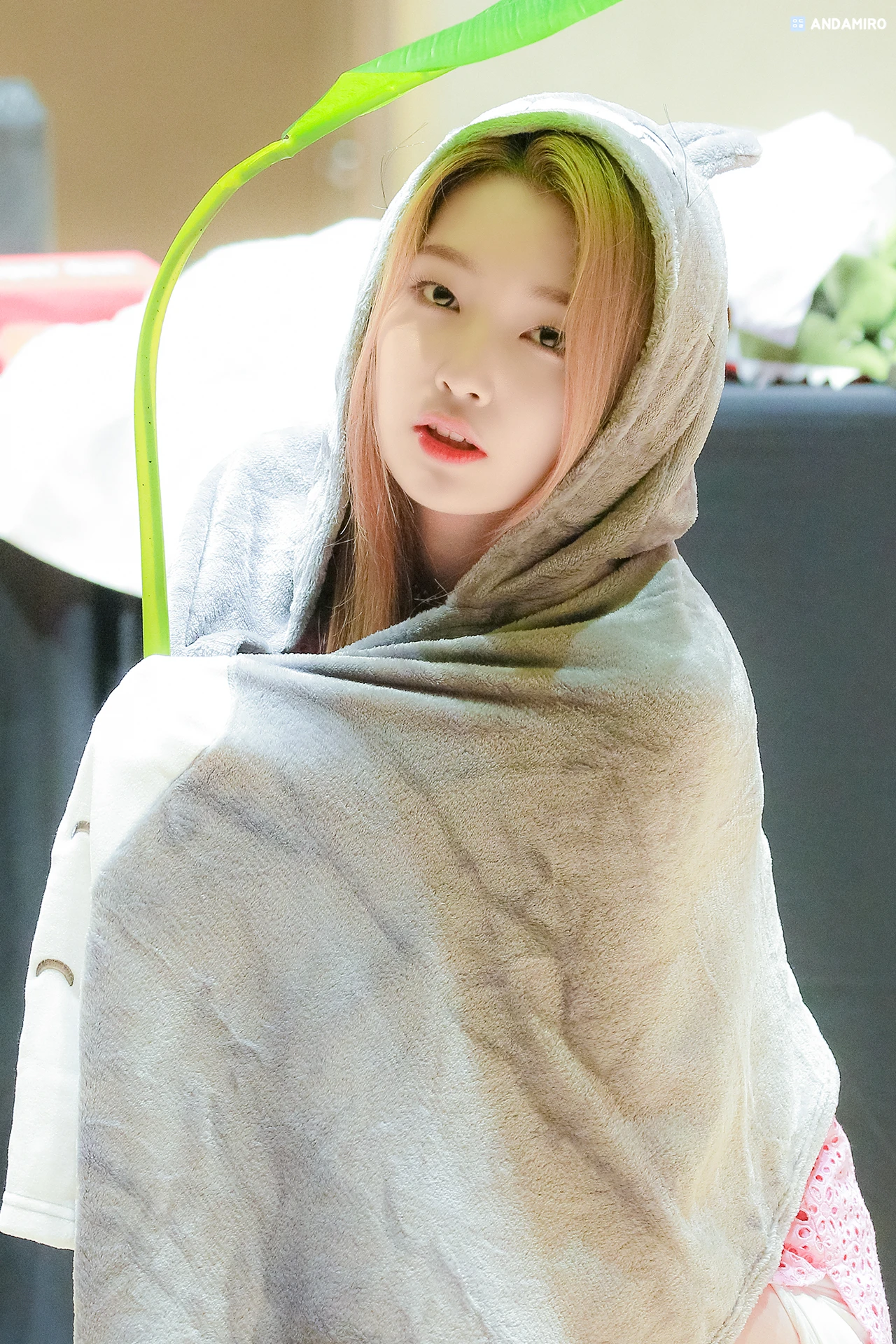 Yeonhee