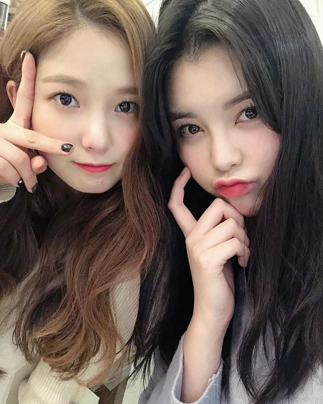 Soyee
