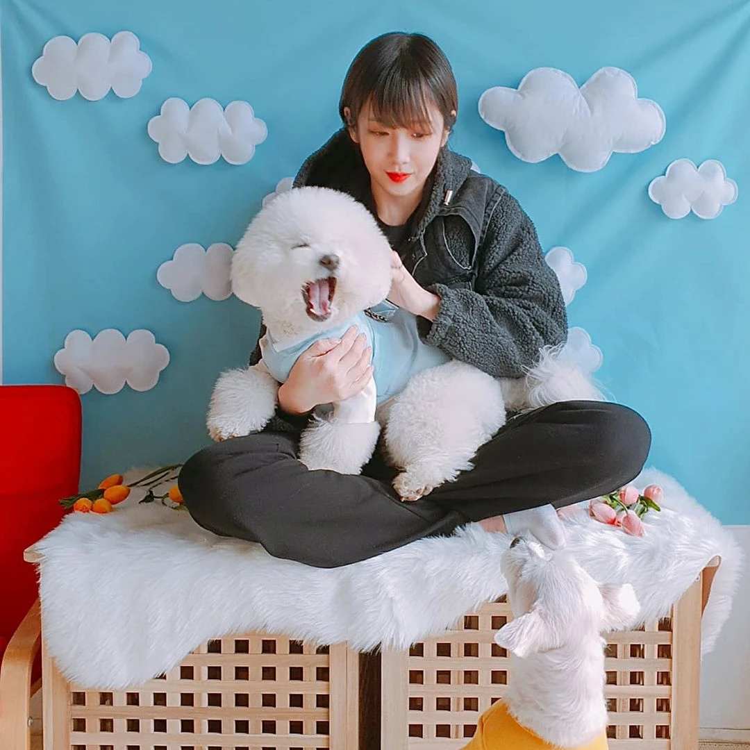 Jiae