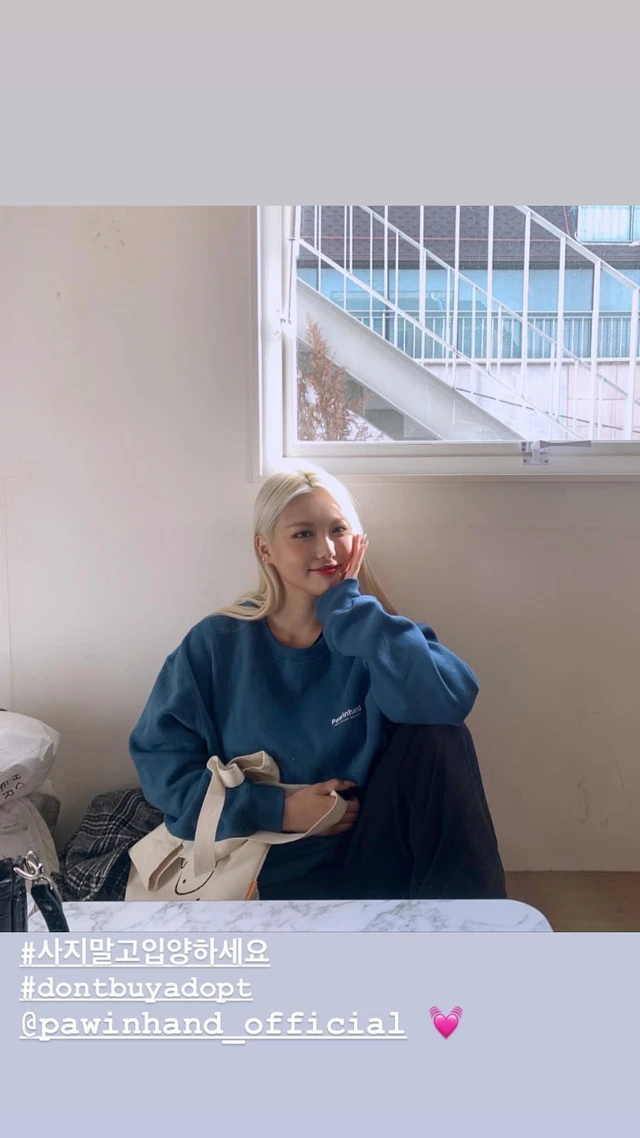 Ahin