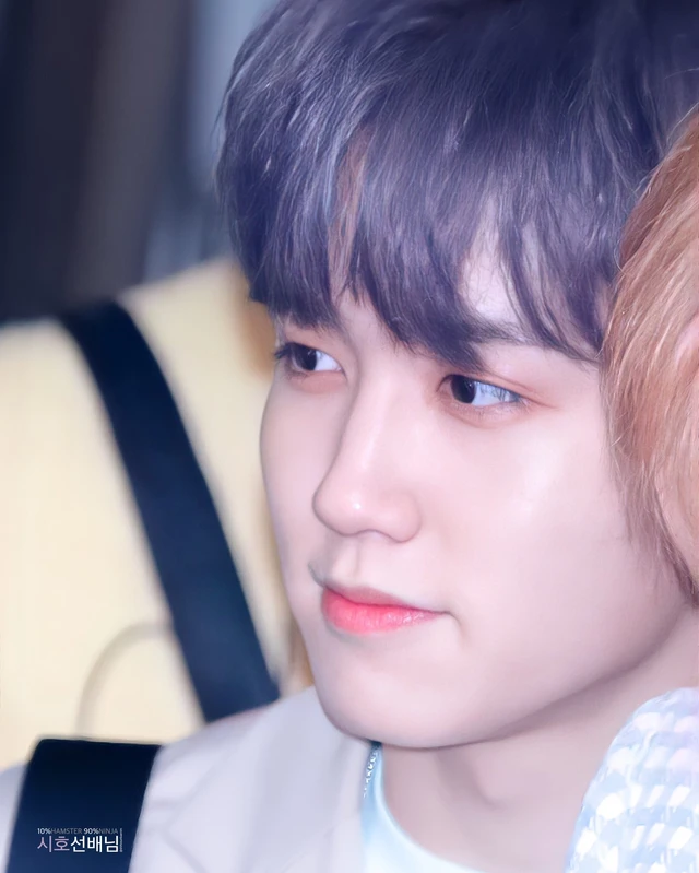 Mashiho