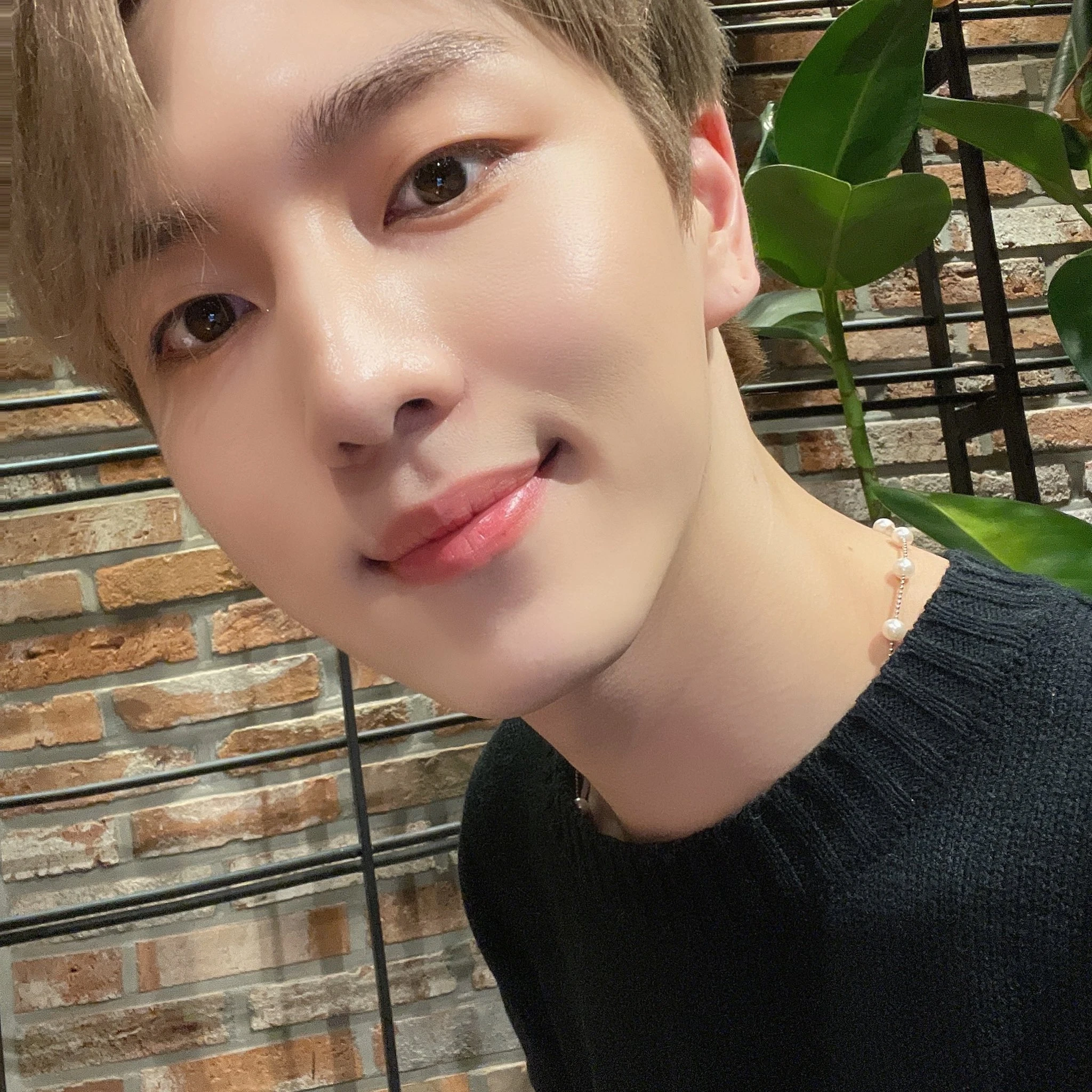 Kino