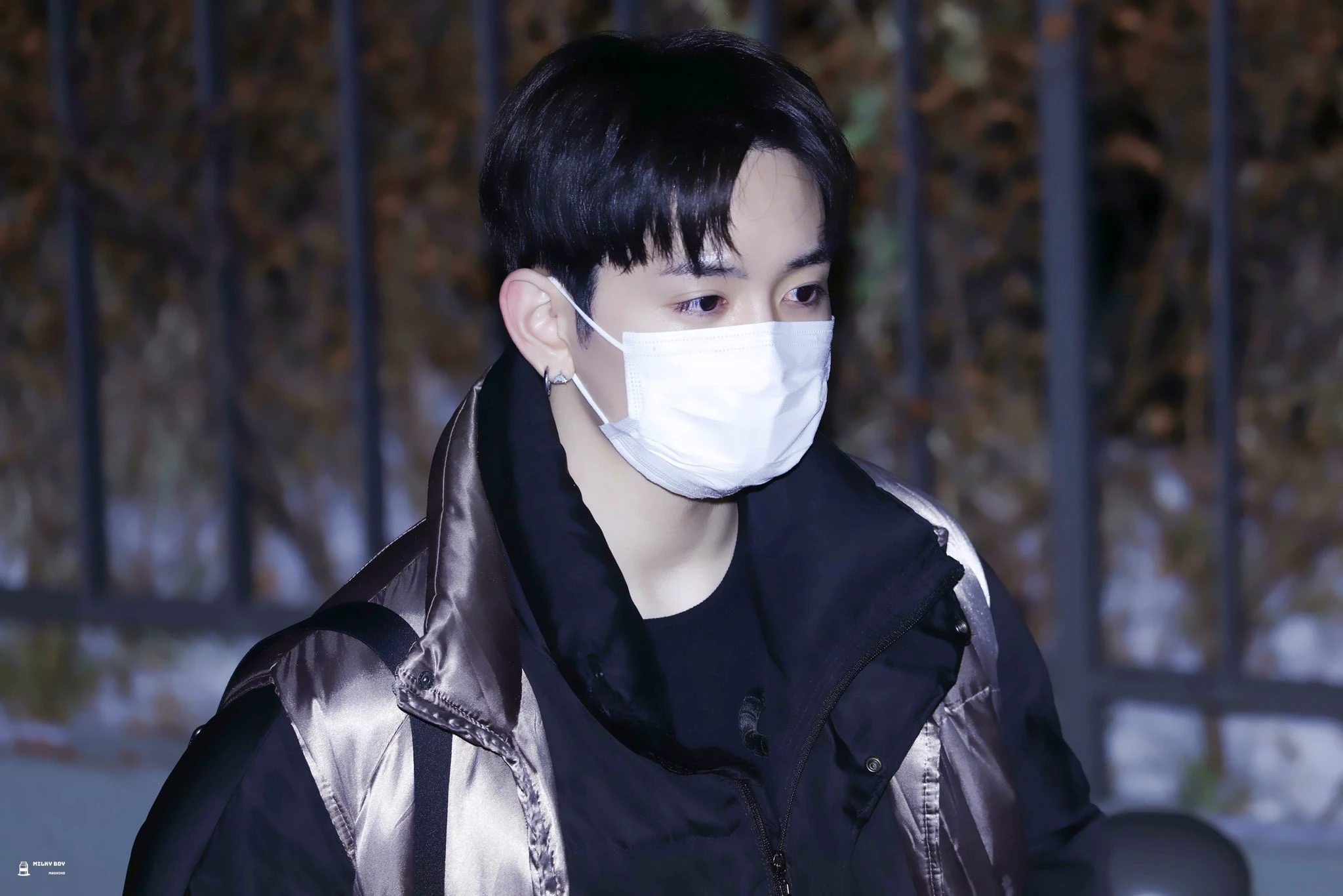 Mashiho