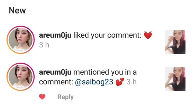 Areum