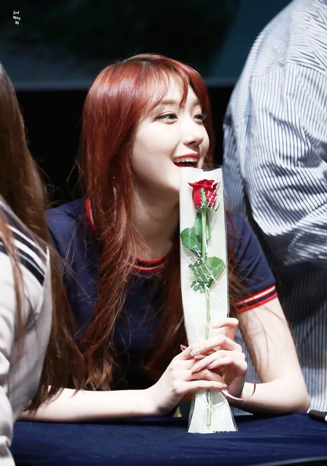 Roa