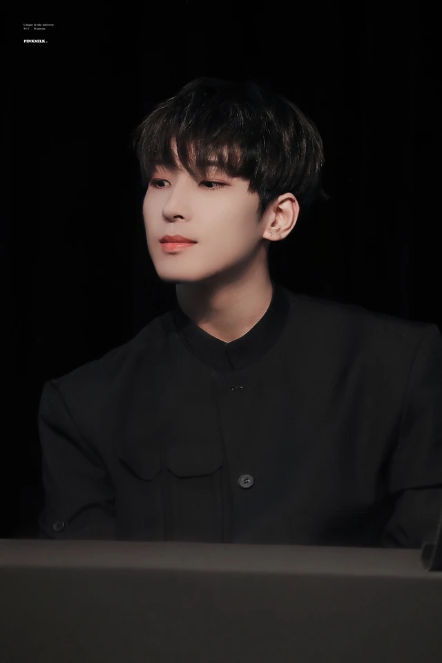 Wonwoo