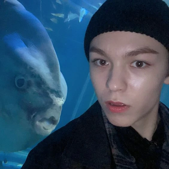 Vernon