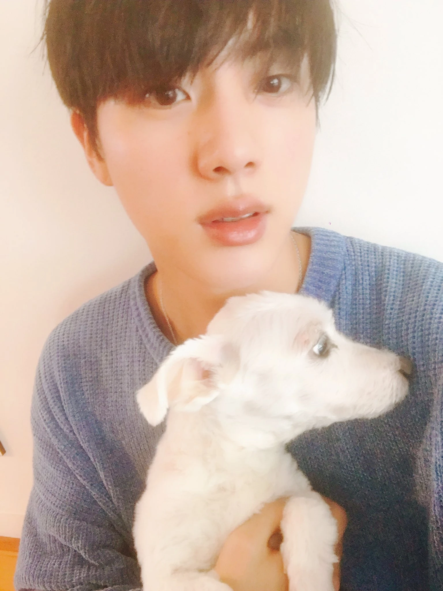 Jin