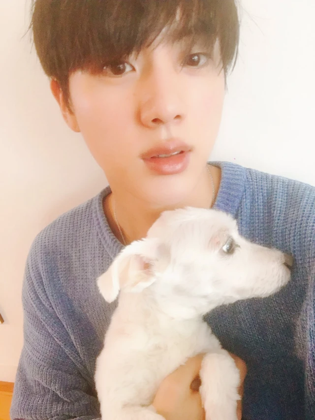 Jin