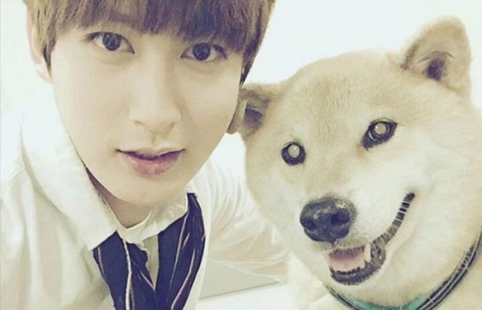 Jaehyo