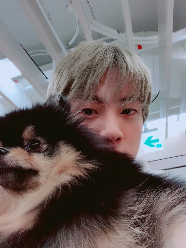 Jin