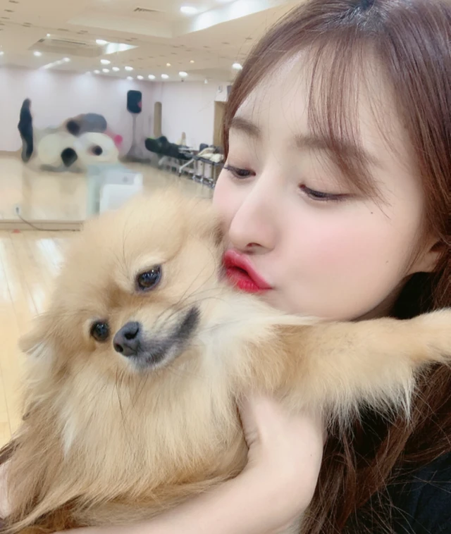 SuA