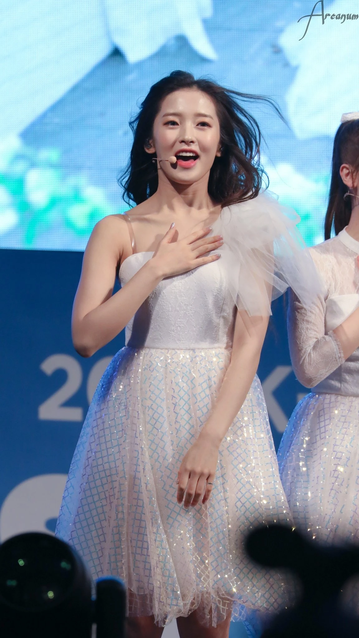 Arin