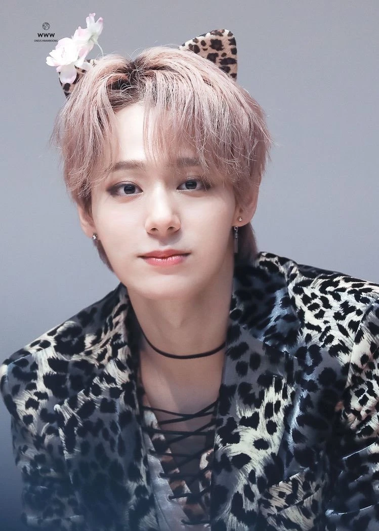 Hwanwoong