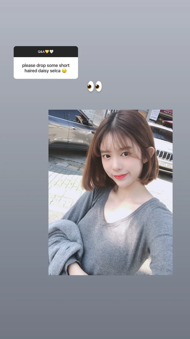 Daisy