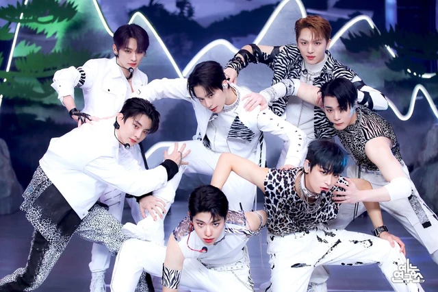 Hwanwoong