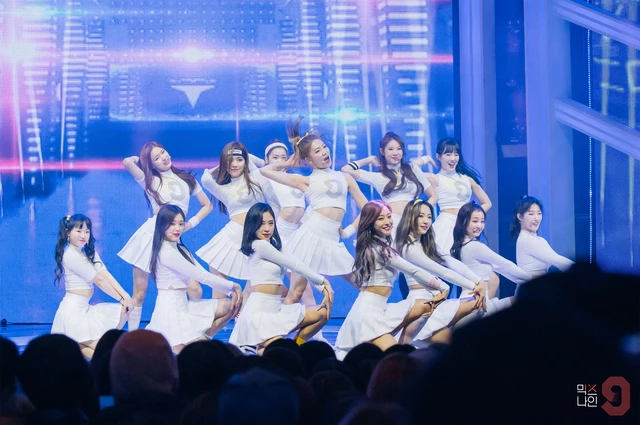 Skarf