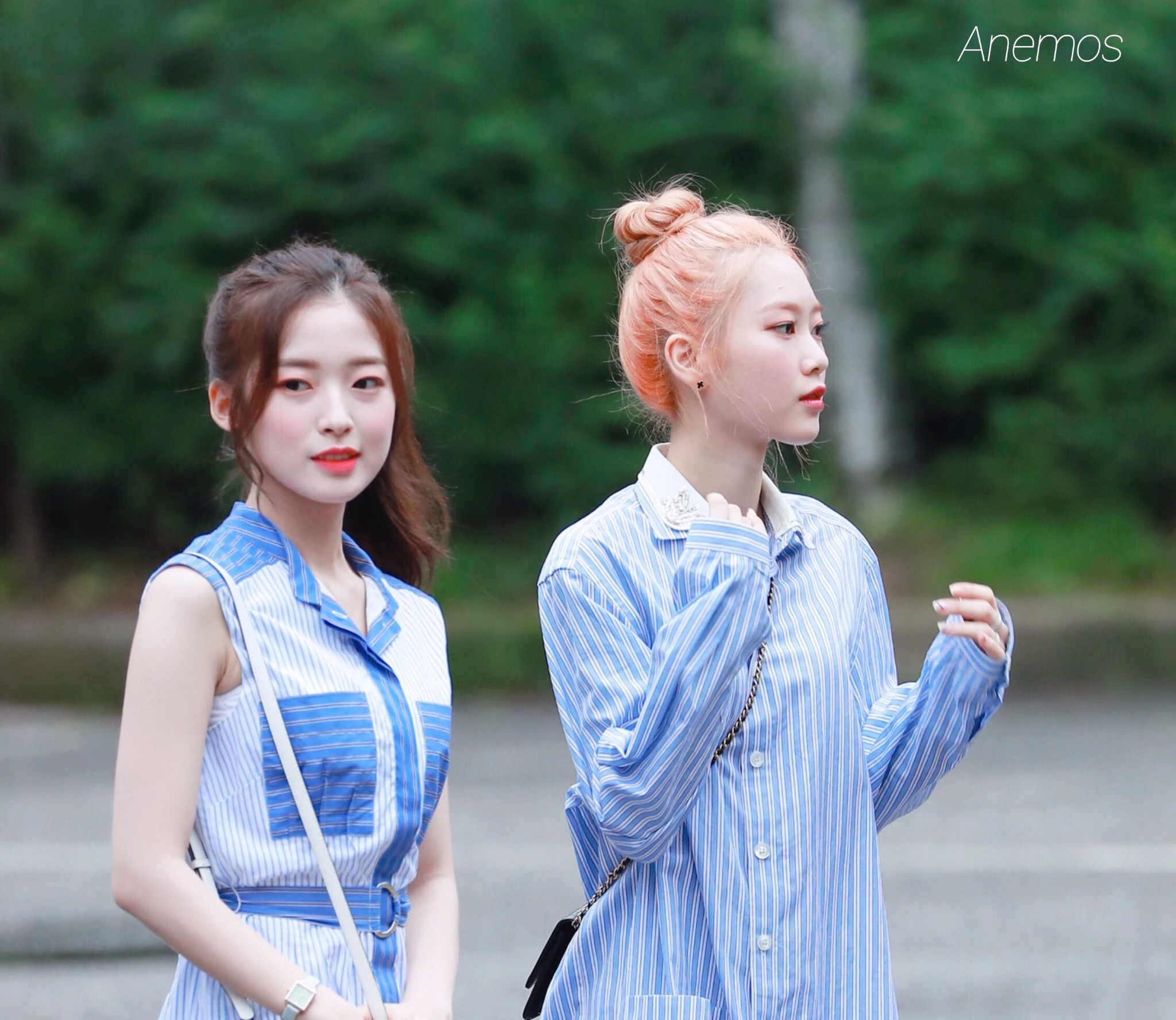 Arin