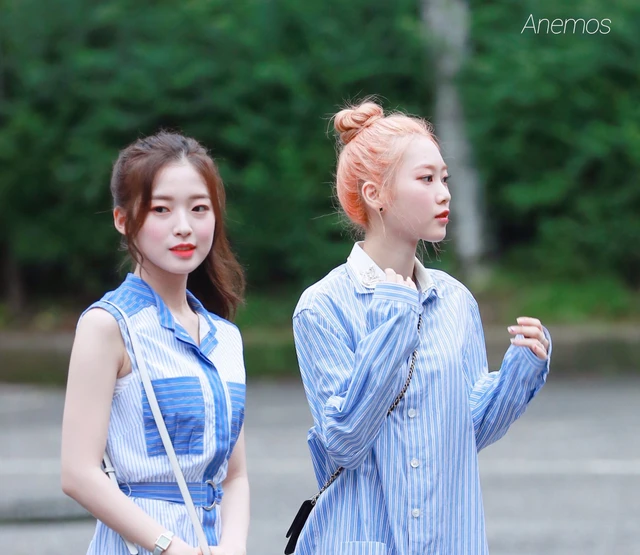 Arin