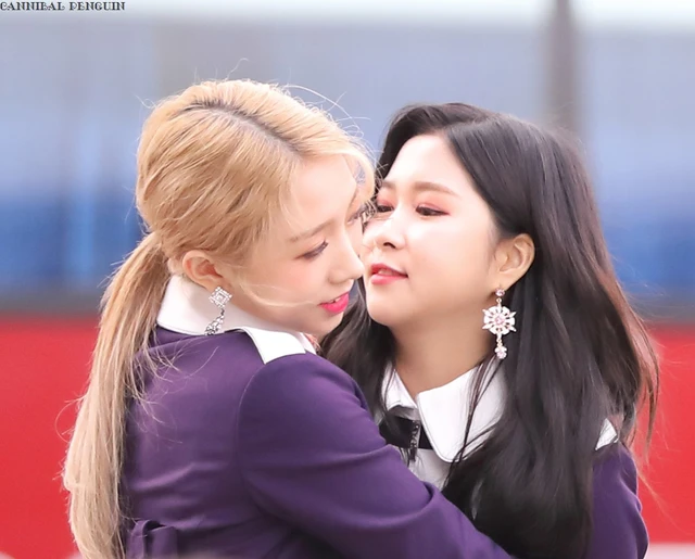 Mei Qi