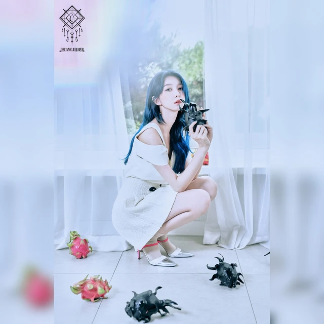 Dreamcatcher